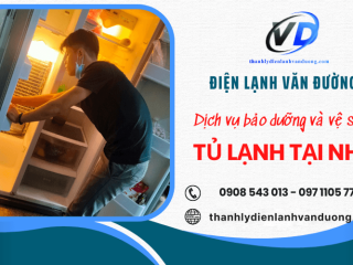Dịch vụ bảo dưỡng và vệ sinh tủ lạnh tại nhà tại TP.HCM uy tín - giá tốt