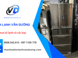 Công ty thu mua tủ lạnh cũ các loại chuyên nghiệp, uy tín và đáng tin cậy